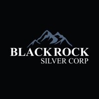 Blackrock Silver Logo