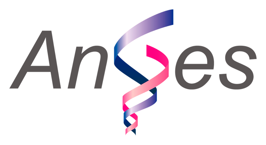 AnGes Logo