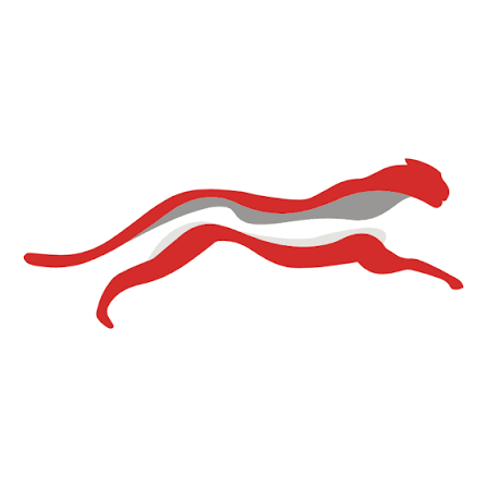 CHEETAH NET S.C. O.N. Aktie Logo