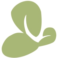 Orchid Island Capital Logo