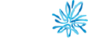 AMP Logo