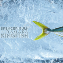 Clean Seas Seafood Logo