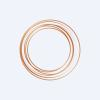 Arizona Sonoran Copper Aktie Logo