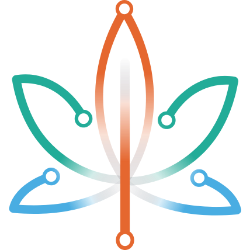 BYND CANNASOFT E Logo