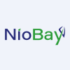 Niobay Metals Aktie Logo