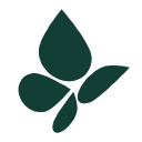 Pieridae Energy Logo