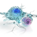 Trillium Therapeutics Logo
