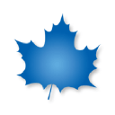 TRUE NORTH COMMERCIAL REAL ESTATE Logo