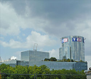 TF1 Logo