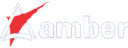 Amber Enterprises India Ltd Ordinary Shares Logo