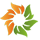 SOLARA ACTIVE PHARMA SCIENCES COMMON STOCK INR10.0 Logo