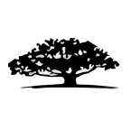 Embrace Change Acquisition Corp Logo