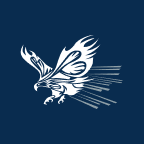 Screaming Eagle Acquisition Corp Class A Logo