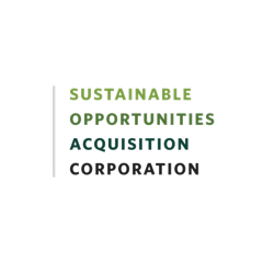 SUST.ACQ.OPP. A DL-,0001 Logo
