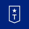 TROOPS INC Logo