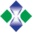 XINJI SHAXI GROUP LTD Logo
