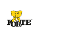 FABRYKI MEBLI FORTE ZY 1 Logo