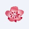 China Airlines Ltd Logo