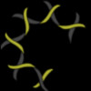 Alpine Immune Sciences Logo
