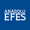 ANADOLU E.BIR.M. ADR 1/5 Logo
