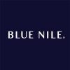 Bitnile Holdings Aktie Logo