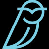 Blue Owl Capital A Aktie Logo