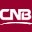 CNB FINA Logo