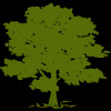 Community Health Syst. Inc. Logo