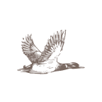 Duckhorn Portfolio Aktie Logo