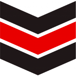 Esports Entertainment Group Aktie Logo