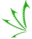 KAYA HLDGS INC. DL-,001 Aktie Logo