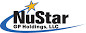 NavSight Holdings Logo