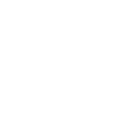 Nuzee Inc Logo