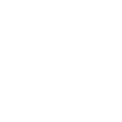 Reliance Global Group Inc Logo