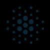 SHATTUCK LABS INC Logo