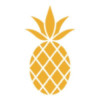 SOUTHERN FIRST BANCSHARES INC Logo
