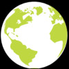 Transphorm Inc Ordinary Shares Logo