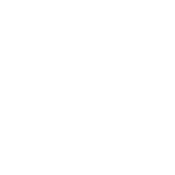 Twin Vee PowerCats Co Ordinary Shares Logo