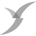 VictoryShares Nasd.Next 50 ETF Registered Shares o.N. Logo