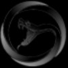 Viper Energy Partners L.P. Aktie Logo