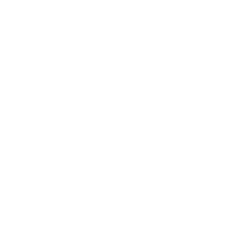 Borqs Technologies Aktie Logo