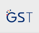 GS TECHS LTD (DI) Logo