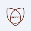 PUYA SEMICONDUCTOR SHANGHA A Logo