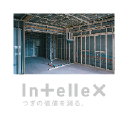 Intellex Co Ltd Logo