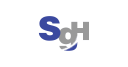 SG Holdings Co Logo
