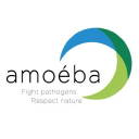 Amoeba Aktie Logo