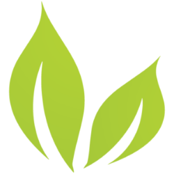 Bright Green Corp Logo