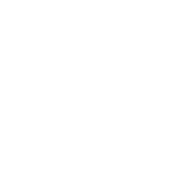 Cenntro Electric Group Aktie Logo