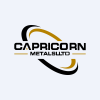 CAPRICORN METALS LTD Logo