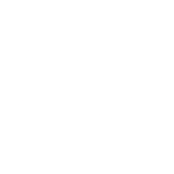 CNS PHARMAC. INC. DL-,001 Aktie Logo